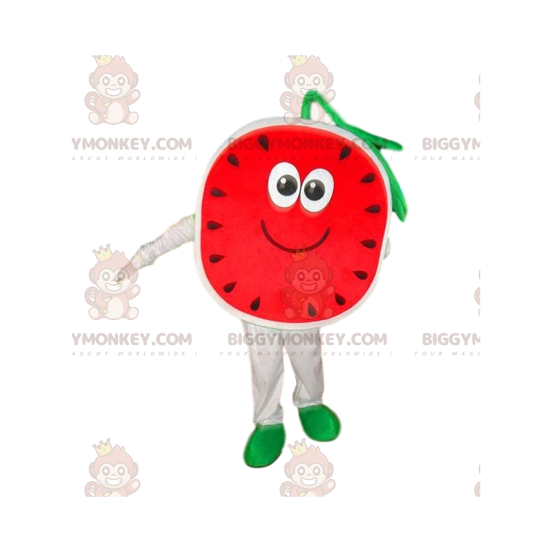 Fantasia de mascote Watermelon BIGGYMONKEY™, fantasia de melão