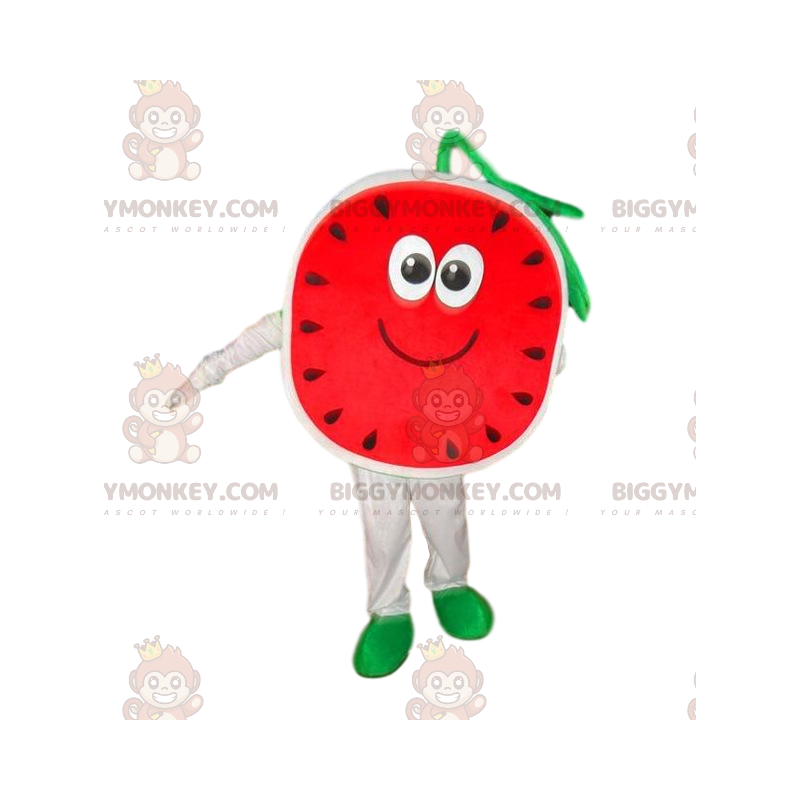 Kostým maskota Watermelon BIGGYMONKEY™, kostým melounu, ovocné