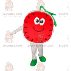 Vattenmelon BIGGYMONKEY™ maskotdräkt, melondräkt, fruktdräkt -