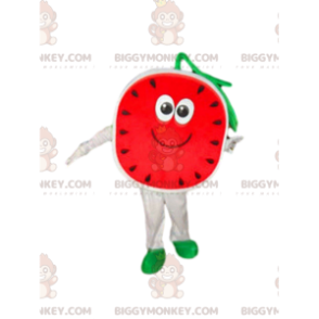 Vattenmelon BIGGYMONKEY™ maskotdräkt, melondräkt, fruktdräkt -