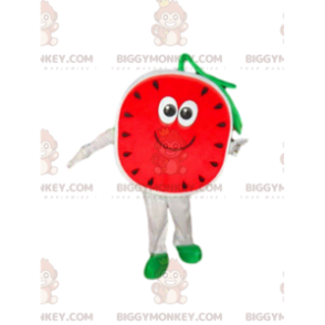 Watermelon BIGGYMONKEY™ mascot costume, melon costume, fruit