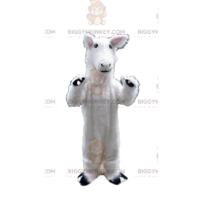 Costume da mascotte BIGGYMONKEY™ cavallo bianco, costume da