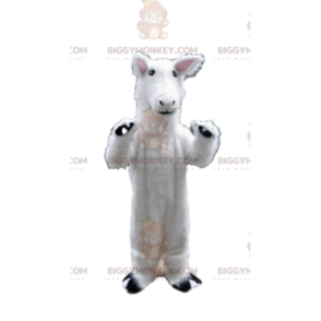 White horse BIGGYMONKEY™ mascot costume, llama costume, white