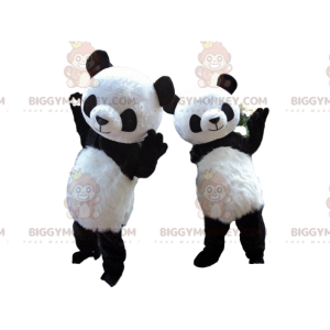 2 maskotka panda BIGGYMONKEY™, kostiumy pandy, azjatyckie