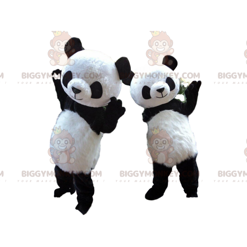 2 BIGGYMONKEY™-panda-maskottia, panda-asut, aasialainen eläin -