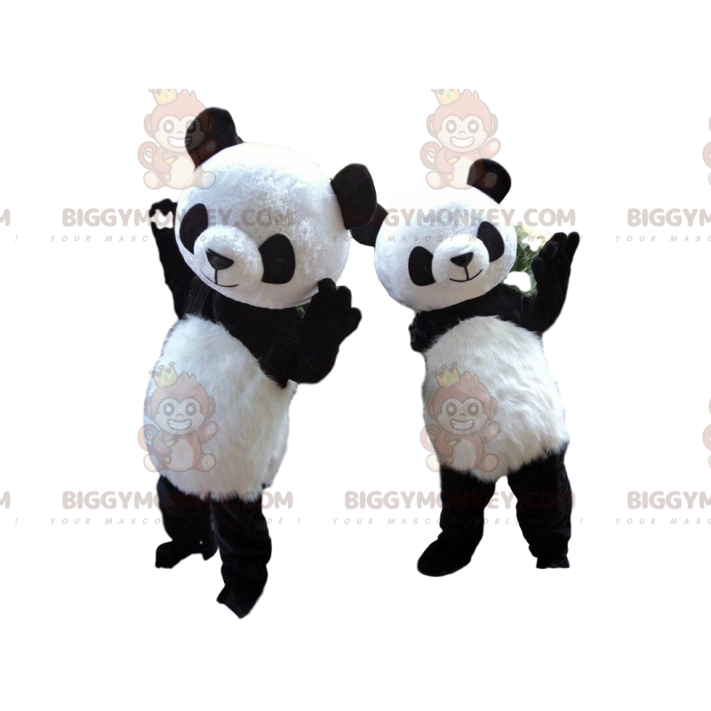 2 mascota panda de BIGGYMONKEY™, disfraces de panda, animal