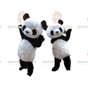 2 BIGGYMONKEY™-panda-maskottia, panda-asut, aasialainen eläin -