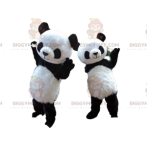 Duo de mascottes BIGGYMONKEY™ de panda, costumes de panda