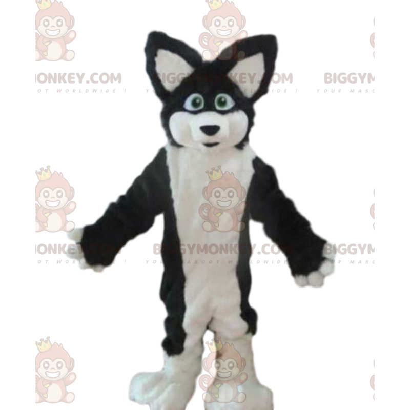 Costume de mascotte BIGGYMONKEY™ de chien husky, costume de