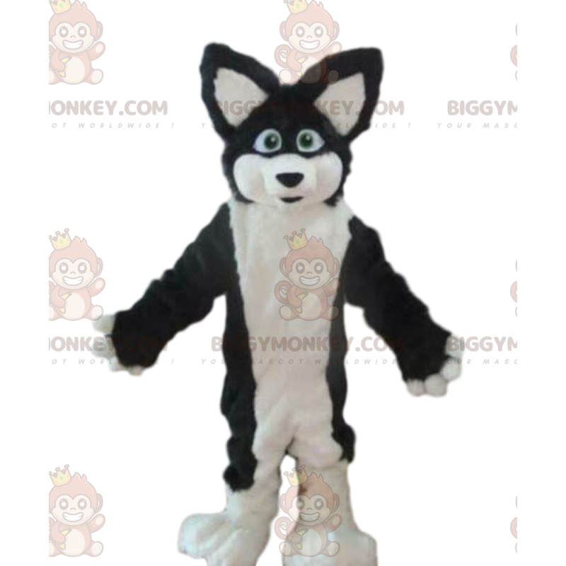 Kostým maskota BIGGYMONKEY™ psa husky, kostým lišky, chlupaté