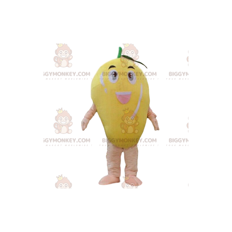 Costume da mascotte Mango BIGGYMONKEY™, costume da frutta