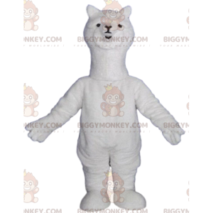 Costume da mascotte BIGGYMONKEY™ alpaca bianco, costume da lama