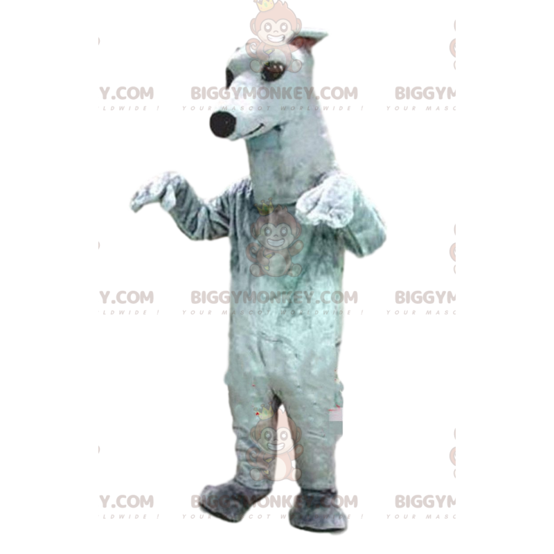 Greyhound BIGGYMONKEY™ mascot costume, dog costume, white dog -