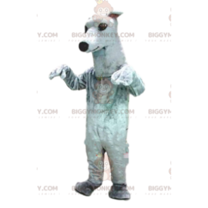 Kostým maskota Greyhounda BIGGYMONKEY™, kostým psa, bílý pes –