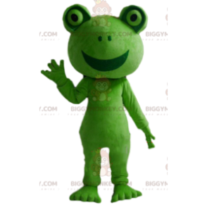 Traje de mascote de sapo verde BIGGYMONKEY™, traje de sapo