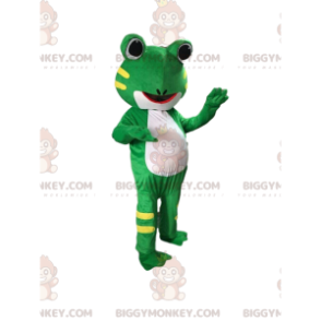 Costume de mascotte BIGGYMONKEY™ de grenouille, costume de