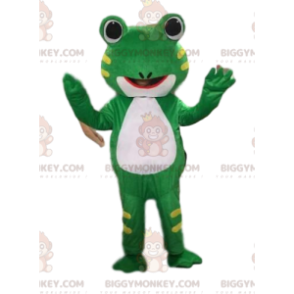 Costume da mascotte rana BIGGYMONKEY™, costume da rospo, rana