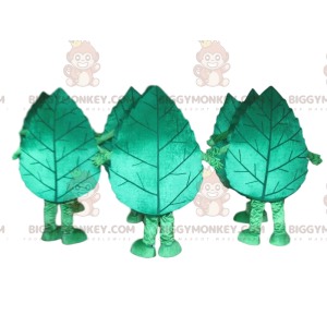 Disfraz de mascota de hoja de árbol BIGGYMONKEY™, disfraz de