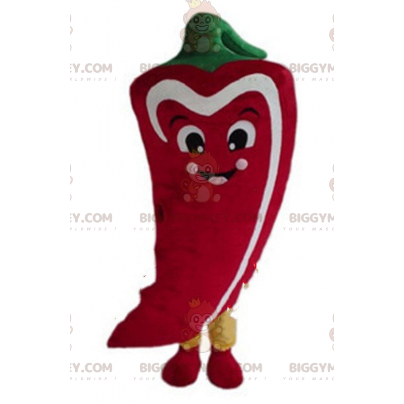 Traje de mascote de pimenta BIGGYMONKEY™, fantasia de pimenta