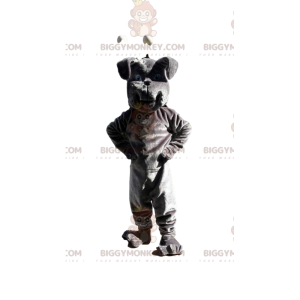 Kostým maskota šedého buldoka BIGGYMONKEY™, kostým psa, kostým
