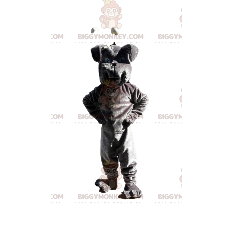 Grå bulldog BIGGYMONKEY™ maskotdräkt, hunddräkt, hunddräkt -
