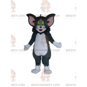 Costume de mascotte BIGGYMONKEY™ de Tom, chat de Tom et Jerry -