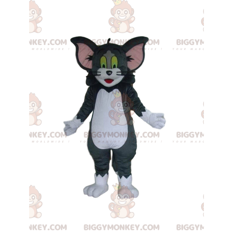 Costume della mascotte del famoso gatto BIGGYMONKEY™ di Tom e