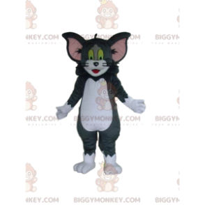 Costume de mascotte BIGGYMONKEY™ de Tom, chat de Tom et Jerry -
