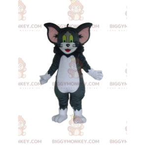 Tom en Jerry's beroemde kat BIGGYMONKEY™ mascottekostuum -