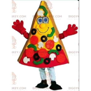 Giant Pizza Slice Costume, Pizza BIGGYMONKEY™ Mascot Costume