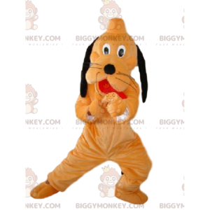 BIGGYMONKEY™ maskotdräkt av Pluto, Walt Disneys berömda orange