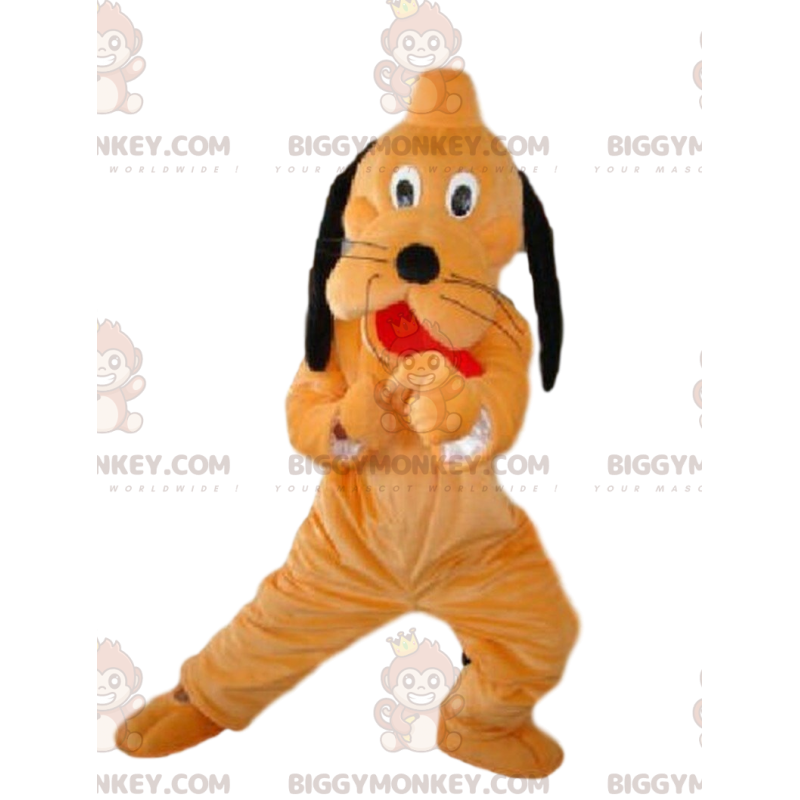 Kostým maskota BIGGYMONKEY™ Pluta, slavného oranžového a