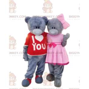 2 BIGGYMONKEY™s mascot of gray teddy bears, bear costumes