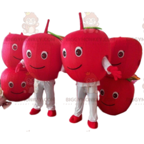 2 ciliegie rosse mascotte BIGGYMONKEY™s, 2 bacche rosse, mele