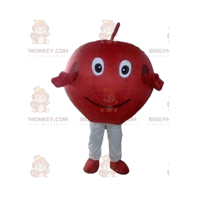 Costume de mascotte BIGGYMONKEY™ de pomme rouge, costume de