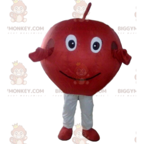 Costume de mascotte BIGGYMONKEY™ de pomme rouge, costume de