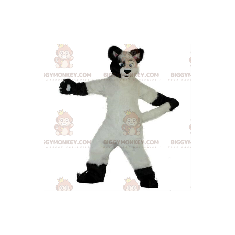 BIGGYMONKEY™ costume mascotte cane bianco e nero, morbido e