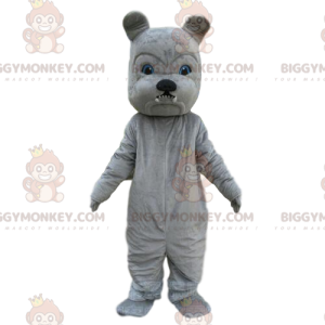 BIGGYMONKEY™ costume mascotte di bulldog grigio, costume da