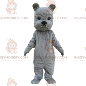 BIGGYMONKEY™ mascottekostuum van grijze buldog, hondenkostuum