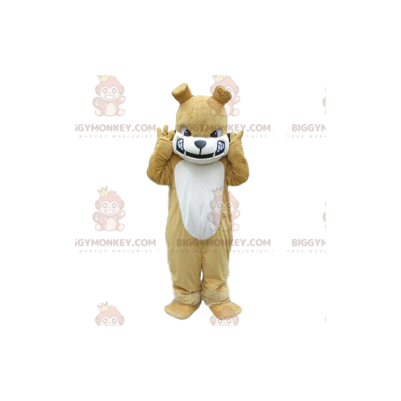 Traje de mascote BIGGYMONKEY™ bege e bulldog branco, fantasia