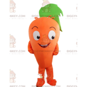 Carrot BIGGYMONKEY™ mascot costume, carrot costume, vegetable