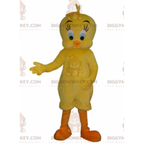 Il famoso costume della mascotte di Titti giallo canarino Titti