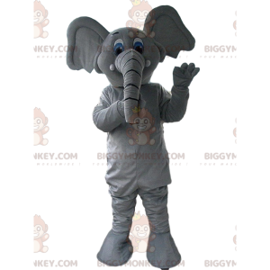 BIGGYMONKEY™ maskot kostume grå og hvid elefant, pachyderm
