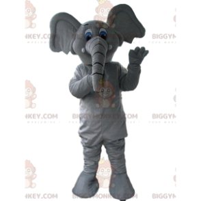 Kostým maskota BIGGYMONKEY™ šedý a bílý slon, tlustokožec –