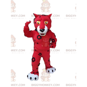 Punavalkoinen tiikeri BIGGYMONKEY™ maskottiasu, punaisen kissan