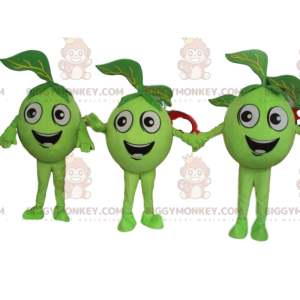 3 groene appels, BIGGYMONKEY's groene fruitmascotte