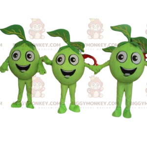 3 zielone jabłka, maskotka zielonych owoców BIGGYMONKEY™