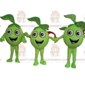 3 mele verdi, frutta verde mascotte di BIGGYMONKEY, olive