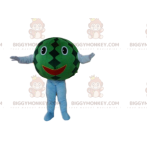 BIGGYMONKEY™ costume mascotte anguria gigante, costume frutta