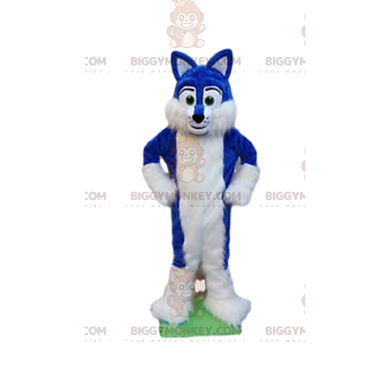 Blue and white dog BIGGYMONKEY™ mascot costume, furry dog